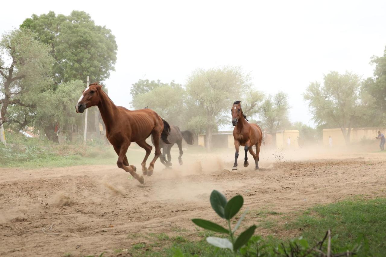 Roop Niwas Kothi, Near Mandawa Hotell Nawalgarh Exteriör bild